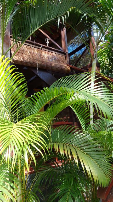 Bed & Breakfast Boutique Recanto Do Encanto - Gamboa - *